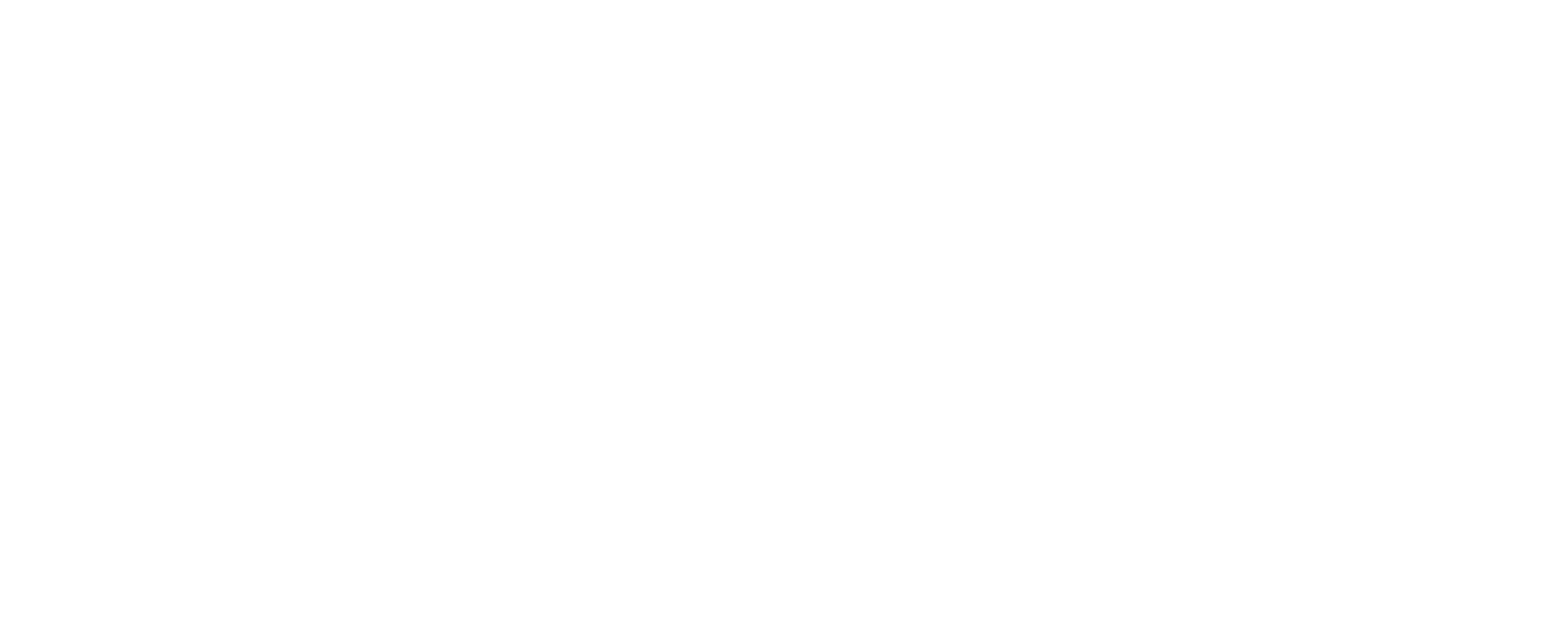 loopex logo